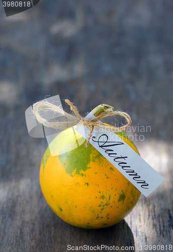 Image of Ripe pumpkin on wooden table