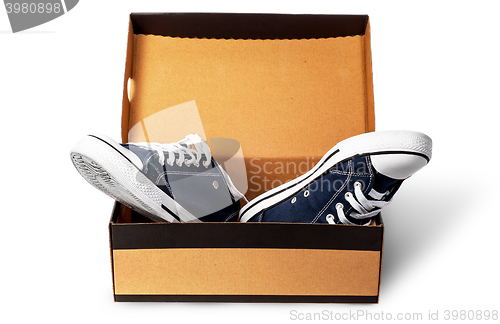 Image of Dark blue sports shoes in cardboard box