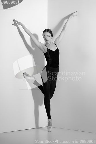 Image of Ballerina in black outfit posing on pointe shoes, studio background.