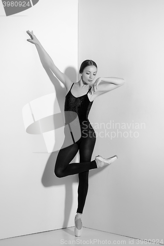 Image of Ballerina in black outfit posing on pointe shoes, studio background.