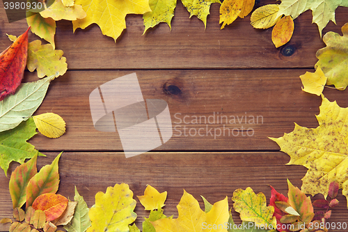 Image of frame of many different fallen autumn leaves