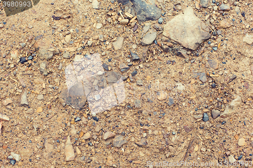 Image of close up of brown ground