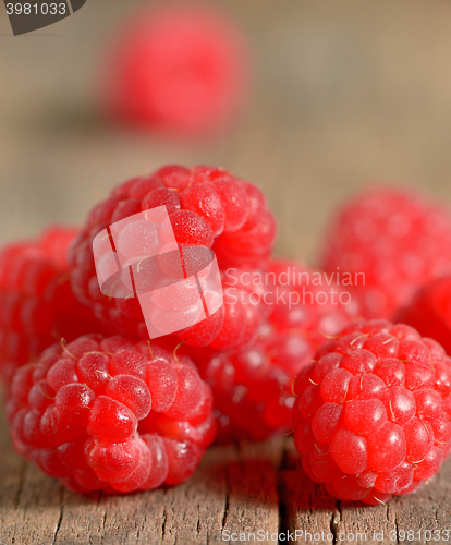 Image of Ripe sweet raspberries