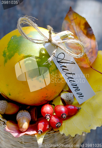 Image of Autumn  basket with fruits and leaves