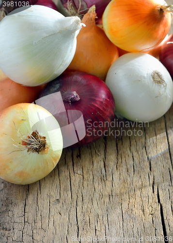 Image of Different types of onion 