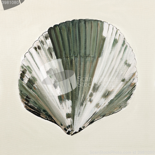 Image of sea shell in pastel colors - oil painting