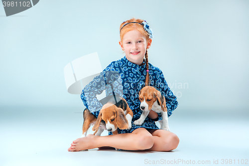 Image of The happy girl and two beagle puppie on gray background