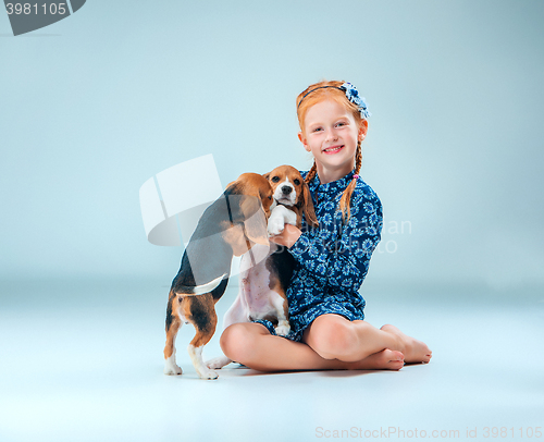 Image of The happy girl and two beagle puppie on gray background