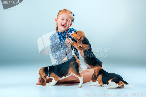 Image of The happy girl and beagle puppies on gray background