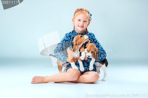 Image of The happy girl and two beagle puppie on gray background