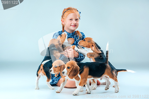 Image of The happy girl and beagle puppies on gray background