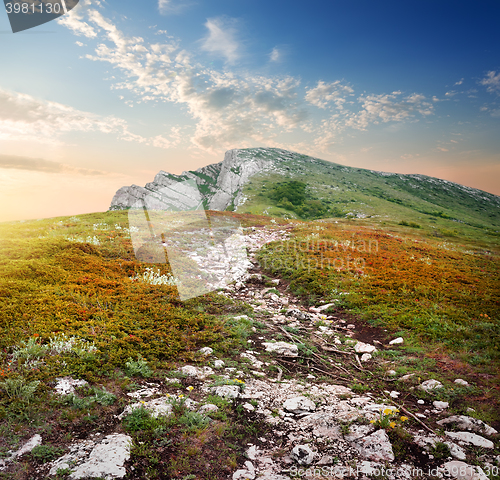 Image of Plateau of a mountain