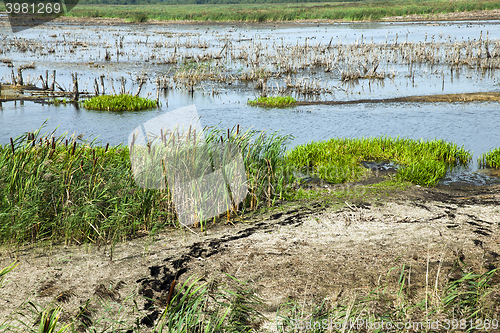 Image of small swamp, lake  