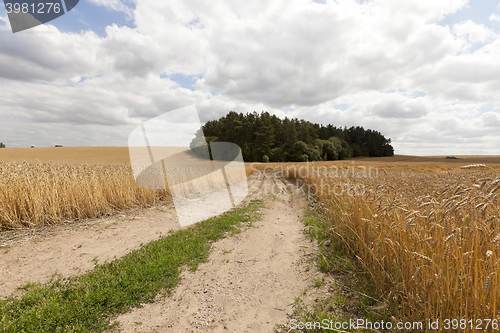 Image of Rural paved road  