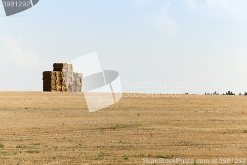 Image of square stack straw  