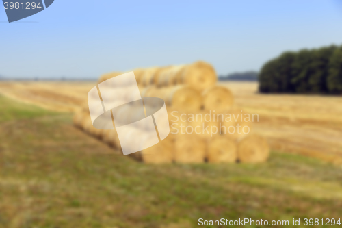 Image of stack of wheat straw  