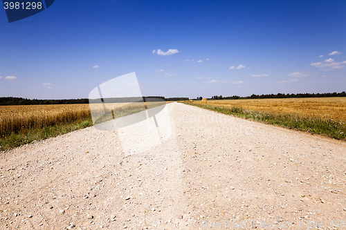 Image of rural road ,  spring 