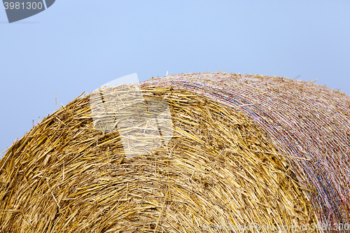 Image of stack of straw in the field  