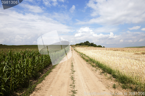 Image of road in a field  