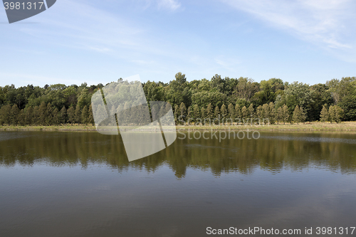 Image of swamp, the end of summer  