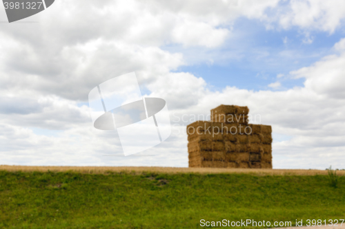 Image of stack of wheat straw  