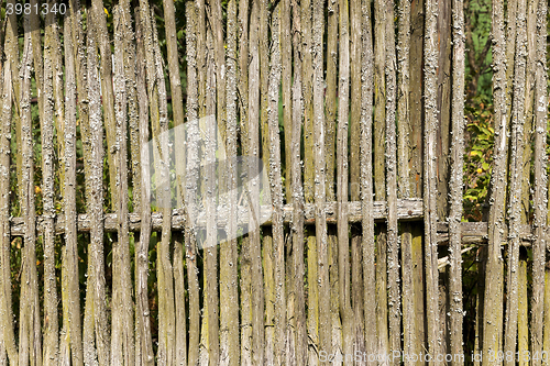 Image of fence of twigs 