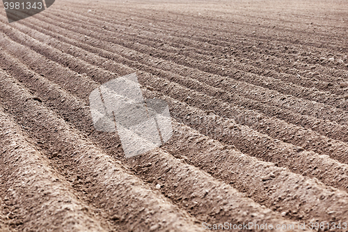 Image of plowed field, furrows  