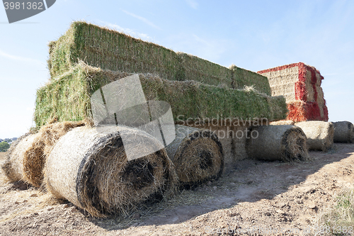 Image of Tractor straw, close-up  