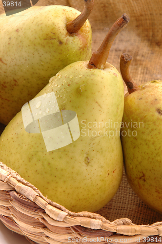 Image of bartlett pears vertical close