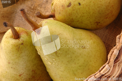 Image of bartlett pears horizontal