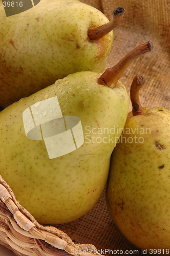 Image of bartlett pears vertical