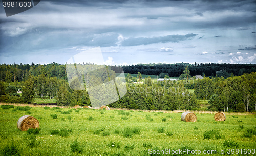 Image of summer landscape