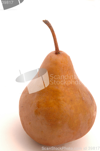 Image of one bosc pear