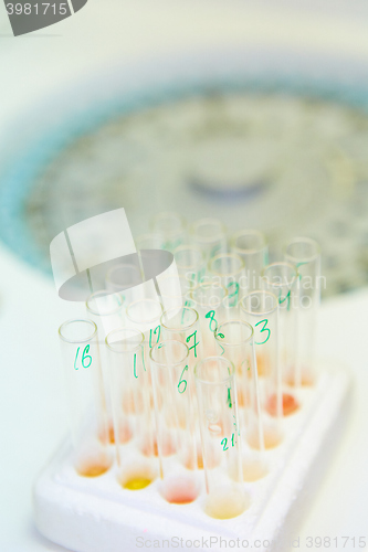 Image of pipette dropping sample into a test tube,abstract science background