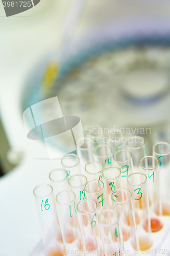 Image of pipette dropping sample into a test tube,abstract science background