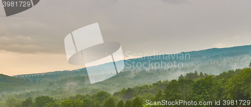 Image of Forested mountain slope in low lying cloud with the evergreen conifers