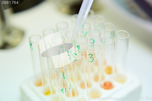 Image of pipette dropping sample into a test tube,abstract science background