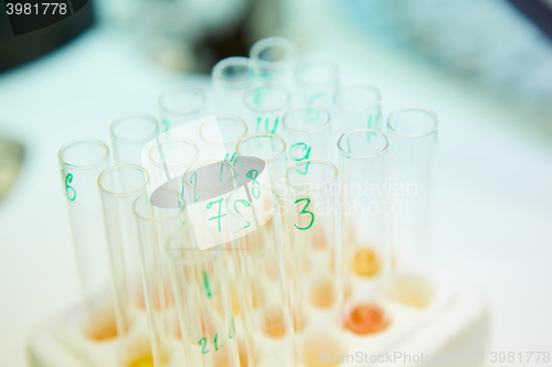 Image of pipette dropping sample into a test tube,abstract science background