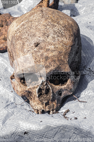 Image of Skeleton remains of a buried unknown victim