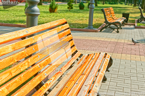 Image of Bench in town square