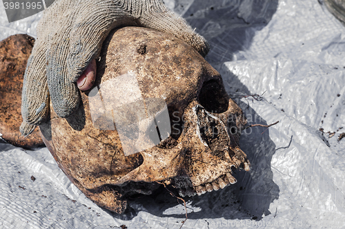 Image of Skeleton remains of a buried unknown victim