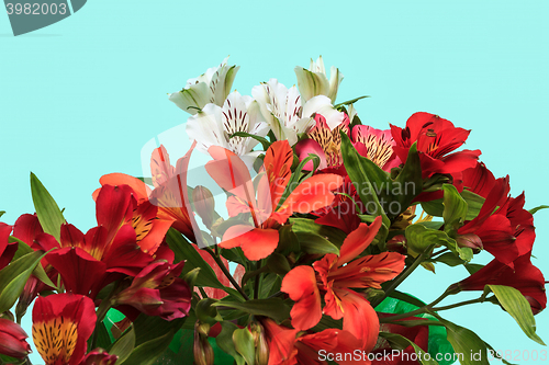 Image of bouquet of flowers on a light green background