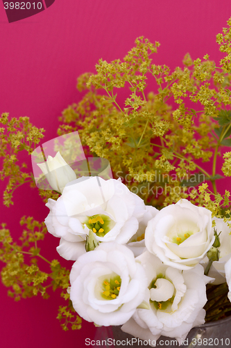 Image of White tulip gentians and alchemilla mollis on pink