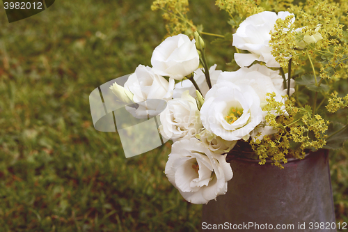 Image of Vintage jug of white prairie gentians on grass