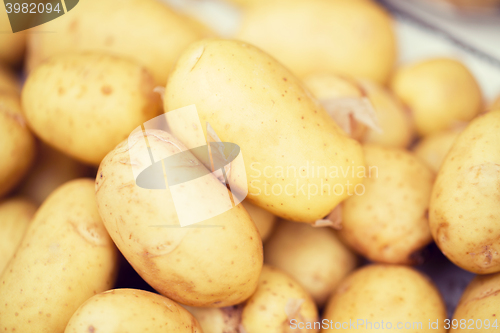 Image of close up of potato at street market