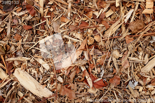 Image of Coarse wood chippings background