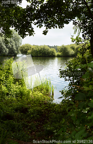 Image of Lake framed by trees on a shady bank