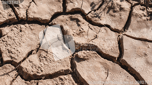 Image of Dry soil closeup