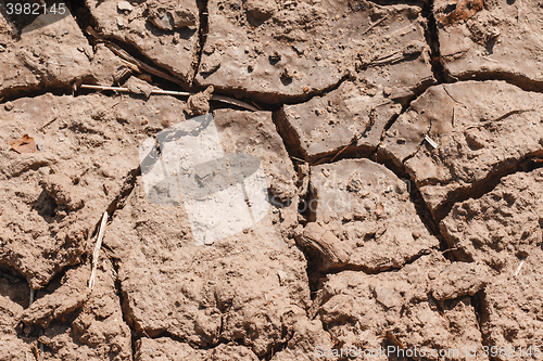 Image of Dry soil closeup