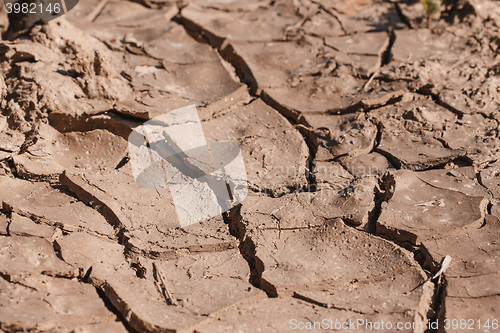 Image of Dry soil closeup